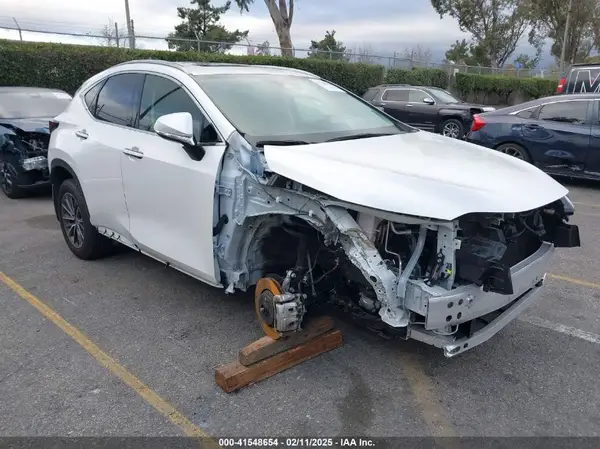 JTJADCAZ4R2013677 2024 LEXUS NX - Image 1