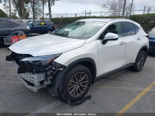 JTJADCAZ4R2013677 2024 LEXUS NX - Image 2