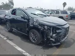 JTJADCAZ4R5020935 2024 LEXUS NX