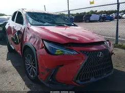 JTJADCAZ5P2007819 2023 LEXUS NX