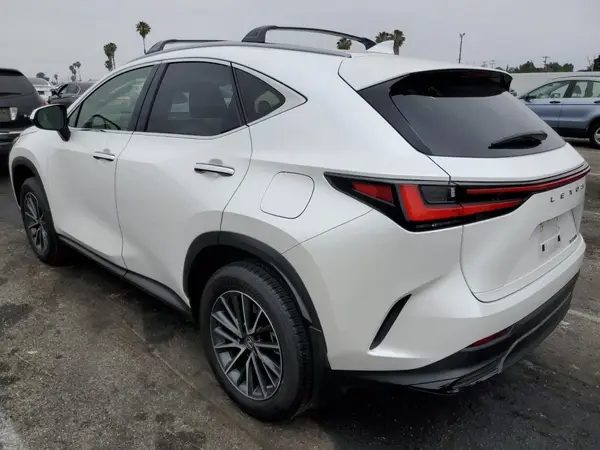 JTJADCAZ5P5011769 2023 LEXUS NX - Image 2