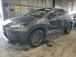 JTJADCAZ5P5013411 2023 LEXUS NX