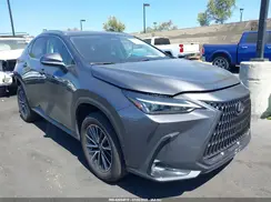 JTJADCAZ5R5015985 2024 LEXUS NX