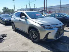 JTJADCAZ6N5000146 2022 LEXUS NX
