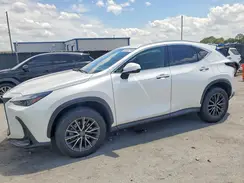 JTJADCAZ6R5014246 2024 LEXUS NX