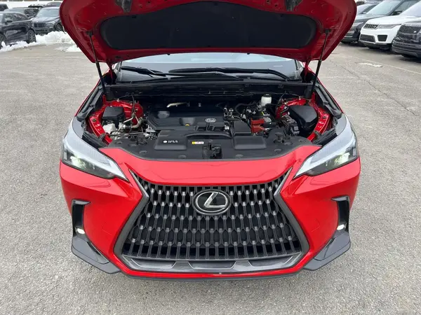 JTJADCAZ7N2002666 2022 LEXUS NX - Image 8