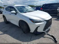 JTJADCAZ7R5022145 2024 LEXUS NX