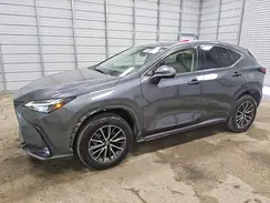 JTJADCAZ8P5013130 2023 LEXUS NX