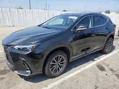 JTJADCAZ8P5013371 2023 LEXUS NX