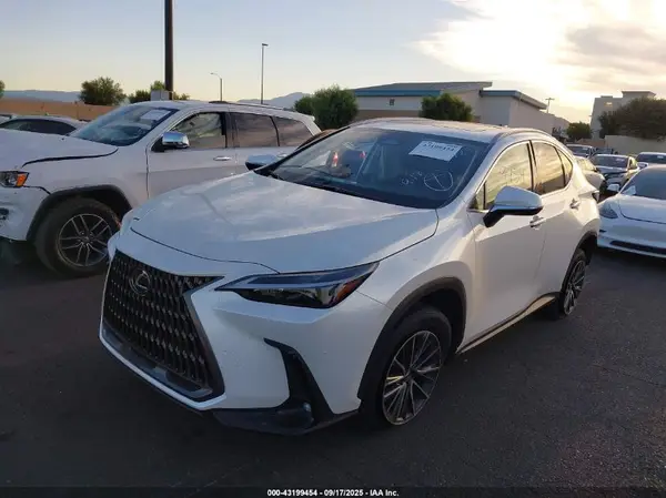 JTJADCAZ8R2013651 2024 LEXUS NX - Image 2