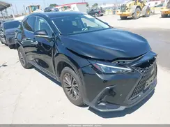 JTJADCAZ8R5014507 2024 LEXUS NX