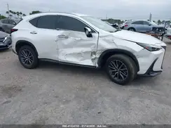 JTJADCAZ9P5010060 2023 LEXUS NX