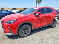 JTJADCAZ9R2009687 2024 LEXUS NX