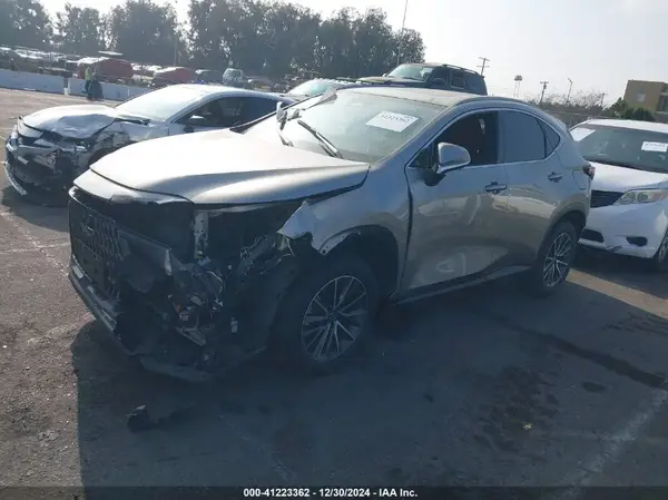 JTJADCAZ9R2012153 2024 LEXUS NX - Image 2
