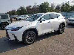 JTJADCAZ9R5014161 2024 LEXUS NX