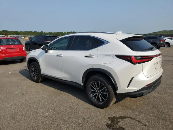 JTJADCAZ9R5014161 2024 LEXUS NX - Image 2