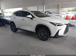 JTJADCAZ9S2022784 2025 LEXUS NX