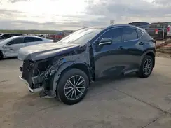 JTJADCAZXP2006374 2023 LEXUS NX