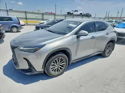 JTJADCAZXP5010200 2023 LEXUS NX