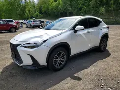 JTJADCEZ1P5000858 2023 LEXUS NX
