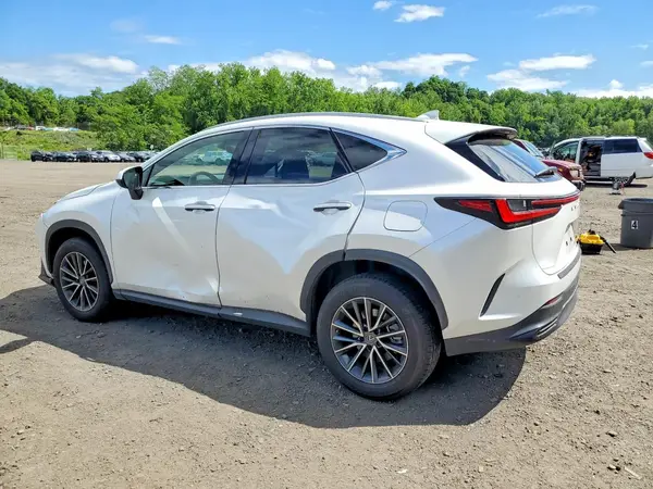 JTJADCEZ1P5000858 2023 LEXUS NX - Image 2