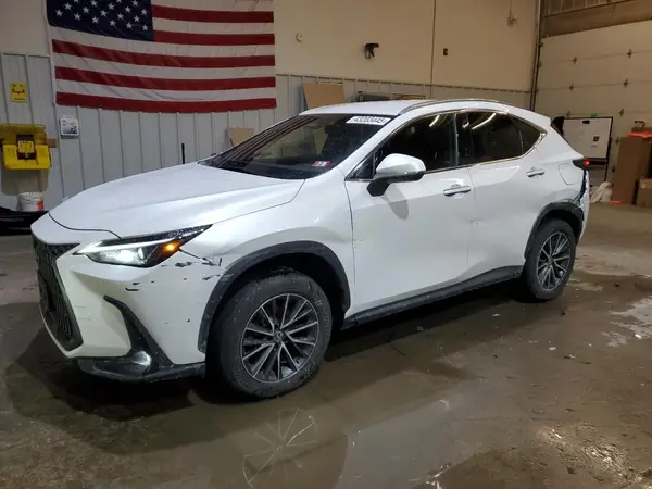 JTJADCEZ4N2000125 2022 LEXUS NX - Image 1