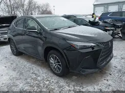 JTJADCEZ4N5000222 2022 LEXUS NX