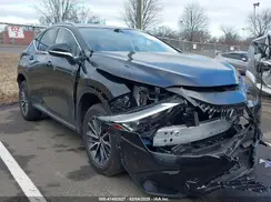 JTJADCEZ6P5000810 2023 LEXUS NX