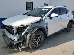 JTJADCEZ7P2002342 2023 LEXUS NX