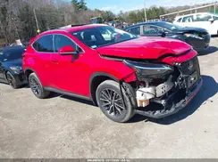 JTJADCEZ7P2002552 2023 LEXUS NX