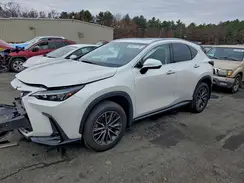 JTJAGCEZ0R5007990 2024 LEXUS NX