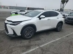JTJAGCEZ1R5007996 2024 LEXUS NX