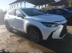 JTJAGCEZ4R2016340 2024 LEXUS NX