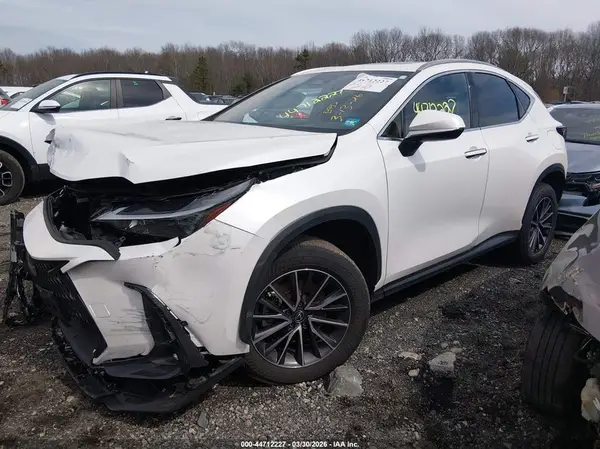 JTJAGCEZ5R5008634 2024 LEXUS NX - Image 2