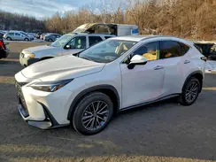 JTJAGCEZ5S2020175 2025 LEXUS NX