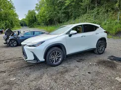 JTJAGCEZ7R5008246 2024 LEXUS NX