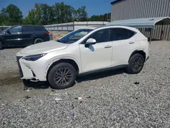 JTJAGCEZ8R2012744 2024 LEXUS NX