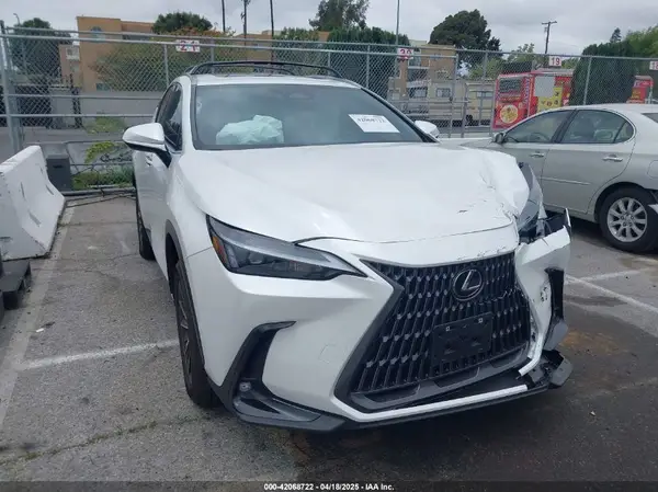 JTJAGCEZ9R5006451 2024 LEXUS NX - Image 1