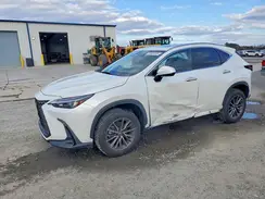 JTJAGCEZXR2010851 2024 LEXUS NX