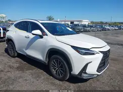 JTJAGCEZXR5007639 2024 LEXUS NX
