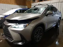 JTJAKCEZ0N2000662 2022 LEXUS NX