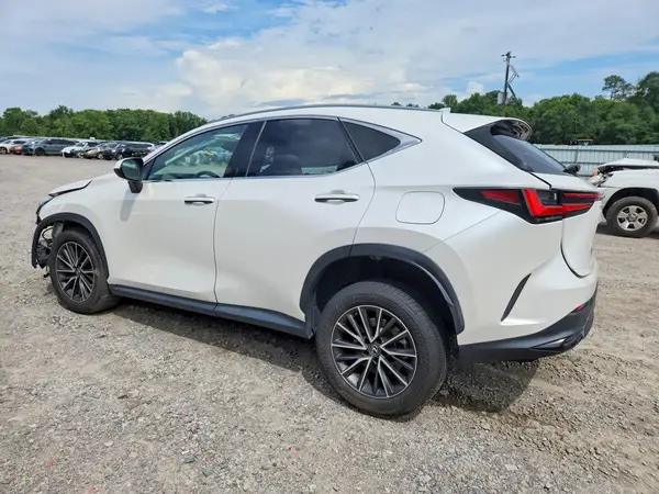 JTJAKCEZ0N5002779 2022 LEXUS NX - Image 2
