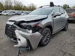 JTJAKCEZ1S2058243 2025 LEXUS NX