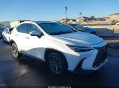 JTJAKCEZ2P5007923 2023 LEXUS NX