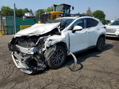 JTJAKCEZ2R2019946 2024 LEXUS NX