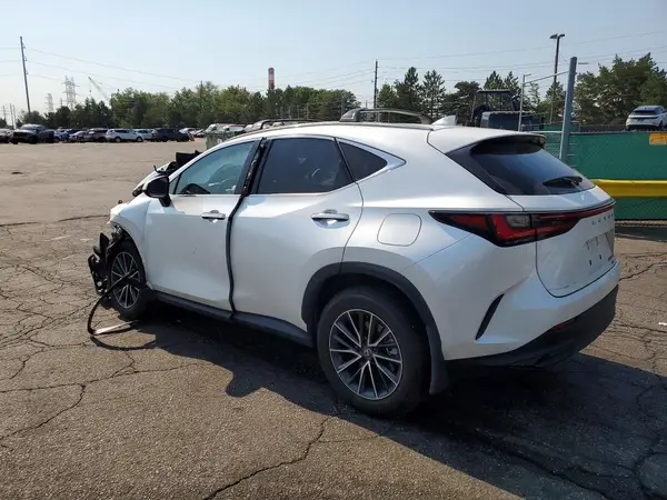 JTJAKCEZ2R2019946 2024 LEXUS NX - Image 2