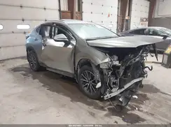 JTJAKCEZ2S5028053 2025 LEXUS NX