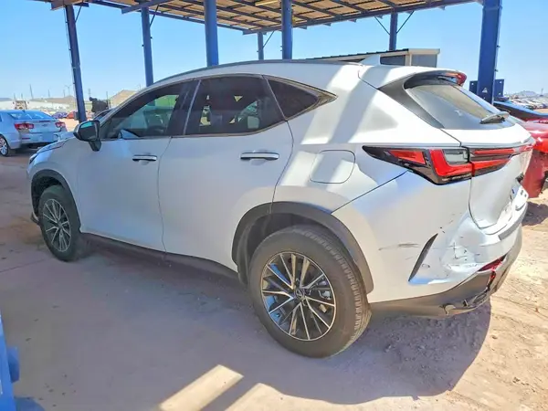 JTJAKCEZ3R5015497 2024 LEXUS NX - Image 2