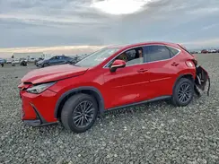 JTJAKCEZ4N2004522 2022 LEXUS NX