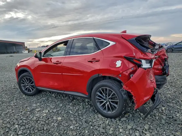 JTJAKCEZ4N2004522 2022 LEXUS NX - Image 2